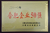 雄峰被評為合肥企業(yè)50強